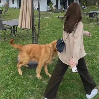 人民的名义